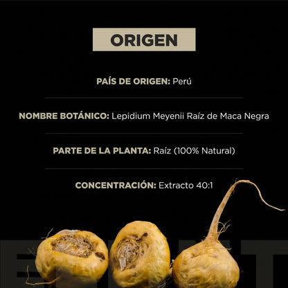 Maca Negra Orgánica + Ashwagandha